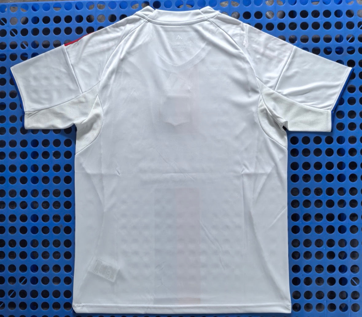 Maillot Lyon 25/26
